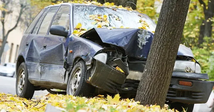 Crashed car wrapped around tree with heavy front-end damage covered in fallen autumn leaves.