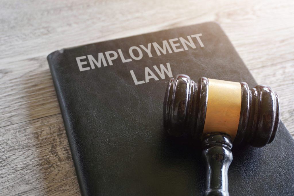 A gavel resting on top of a black leather-bound book titled "Employment Law."